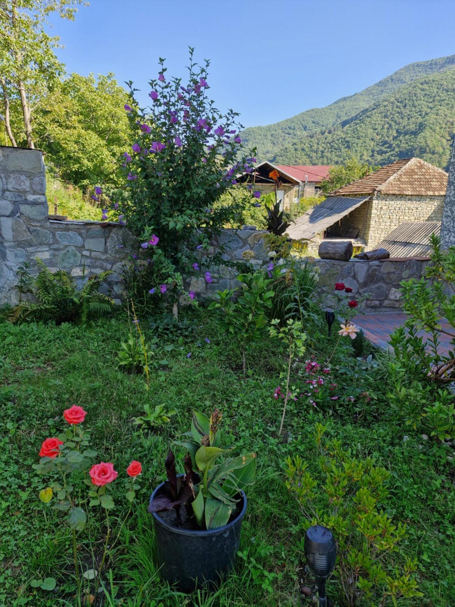 Ananuri Veranda- Hotel Guest House Экстерьер фото